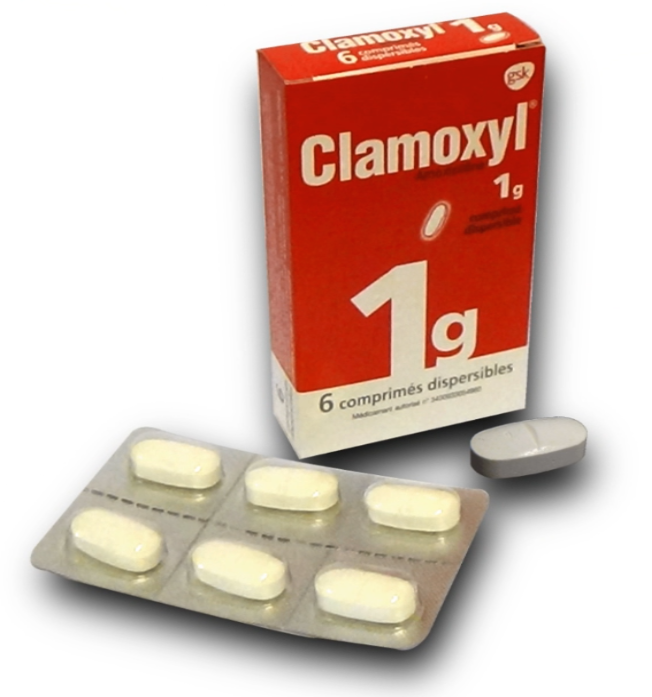 Visuel de l'emballage du médicament CLAMOXYL 1g.