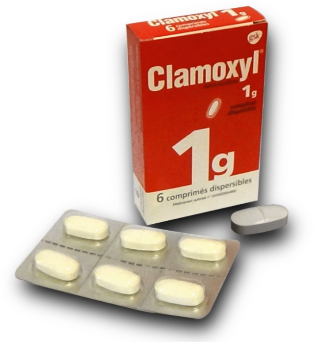 CLAMOXYL 1g - VERSION TEXTE